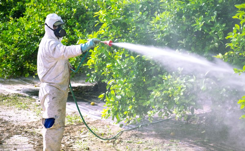 Residential Fumigation in Woodbridge, VA