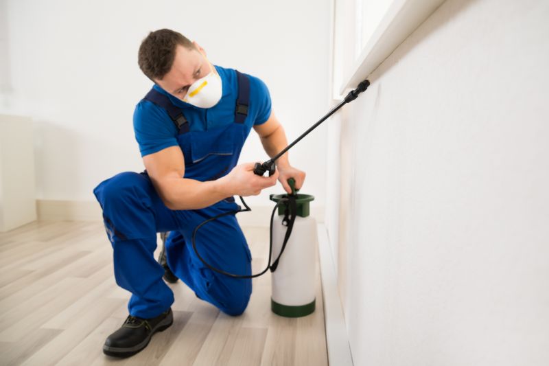 Centipede Extermination in Katy, TX
