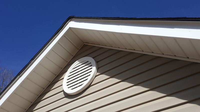Vent Birds Removal detail