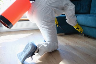 Pest Fumigation Service in San Jose, CA