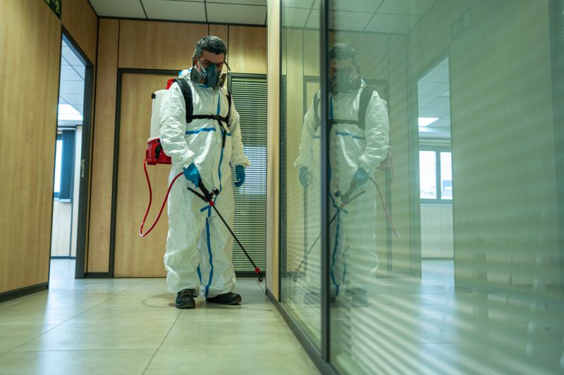 Rat Fumigation Service in Katy, TX