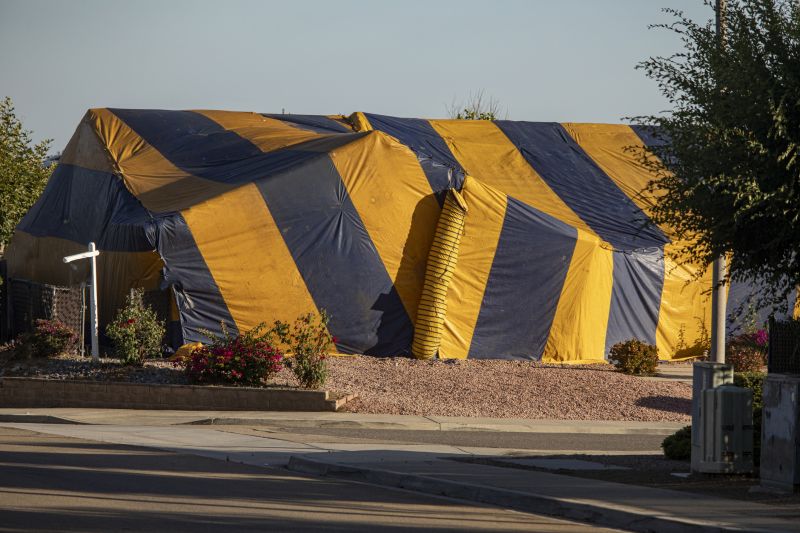 Termite Tenting in Tampa, FL
