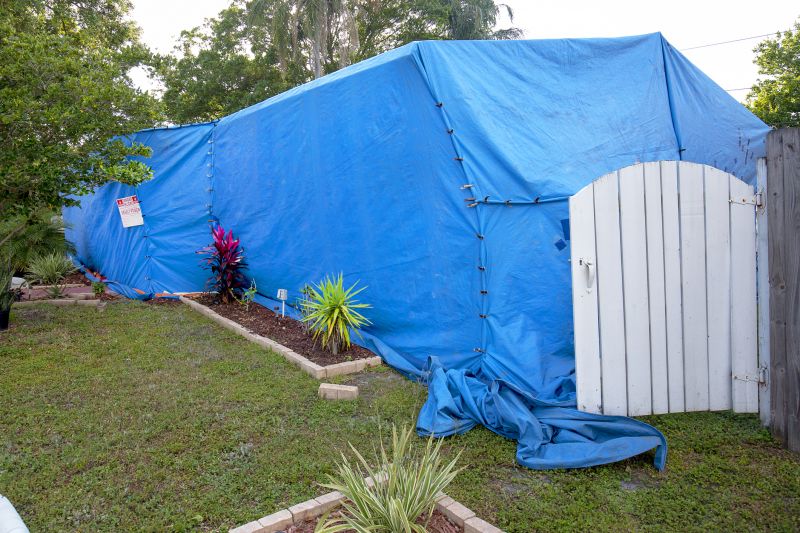 Termite Tenting in Ann Arbor, MI