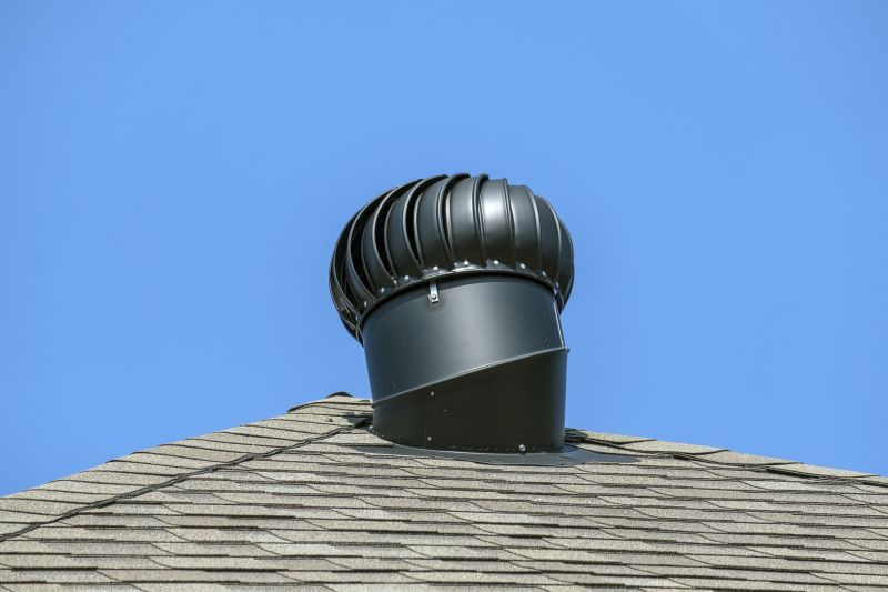 Vent Birds Removal
